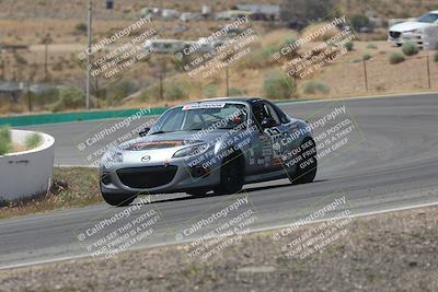 media/May-03-2025-Lucky Dog Racing (Sat) [[206de64b9d]]/Turn 4 B (1150am-130pm)/